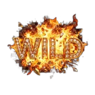 Wild symbol